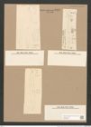 Pleurosigma var. borealis Grun. (de-Toni-Nr.: Genus 13, Species 1076) Zeichnungen Sammlung Grunow Nr. 1956 (NHMW-BOT-W0369098)